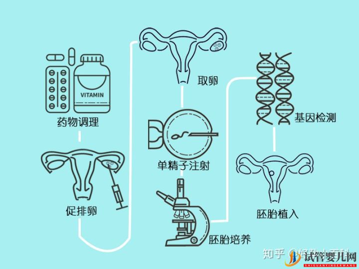 什么是三代試管嬰兒第三代試管嬰兒成功率高(圖6)
