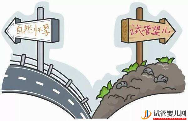 一胎都“試管”了，二胎還能自然懷上嗎(圖1)