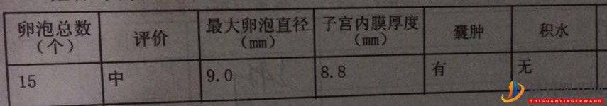 試管媽媽都有血淚史,但我已經很幸運,三代超快速(圖5)