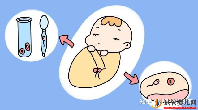 試管嬰兒是自己親生的嗎(圖2)