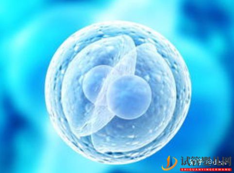 試管移植囊胚成功率多少,如何調(diào)理增加成功率(圖8)