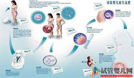 一個高齡婦女的試管之路(圖1)