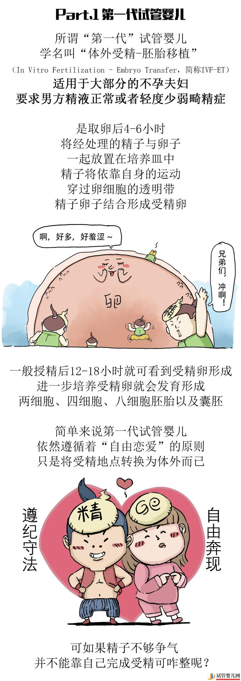 一代更比一代強三代試管強無敵(圖4)