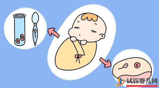 “試管嬰兒”只能活到四五十歲這你也信!(圖4) “試管嬰兒”只能活到四五十歲這你也信!(圖4)