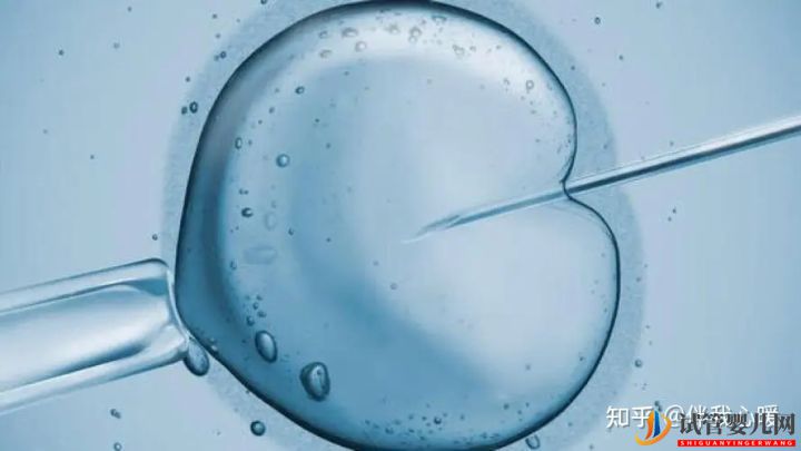 試管嬰兒需要花多少時間試管全流程大公開建議收藏!(圖3)