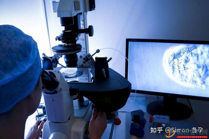 什么是第一代、二代、三代試管嬰er別再傻傻分不清...(圖4)