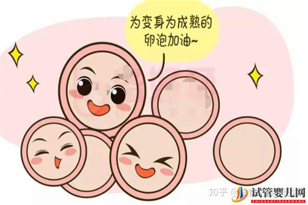 試管嬰兒一代至三代到底有什么樣的區(qū)別(圖2) 試管嬰兒一代至三代到底有什么樣的區(qū)別(圖2)