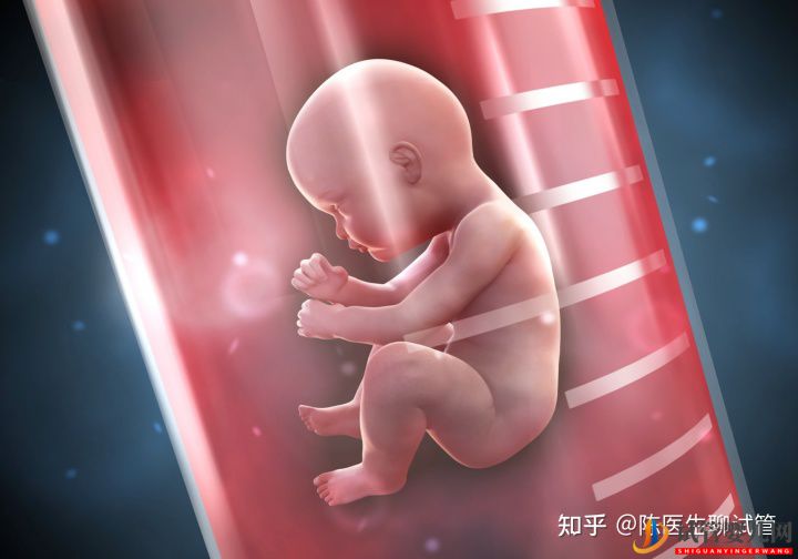 試管嬰兒多少錢一次一代二代三代費(fèi)用詳解(圖3) 試管嬰兒多少錢一次一代二代三代費(fèi)用詳解(圖3)