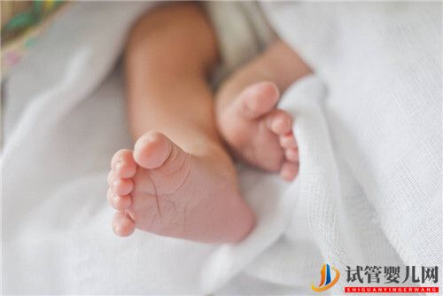 女性年齡與試管嬰兒成功率的關系(圖1)