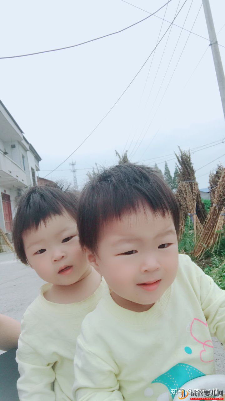 試管雙胞胎一次成功必看經(jīng)驗(圖1)