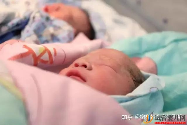 做試管嬰兒懷雙胞胎的成功率更大,是真的嗎(圖1)