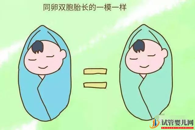試管生雙胞胎后悔了通過試管嬰兒生下的雙胞胎長得...(圖2)