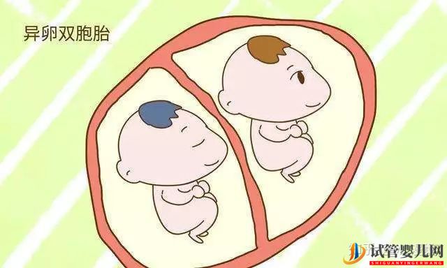 試管生雙胞胎后悔了通過試管嬰兒生下的雙胞胎長得...(圖3)