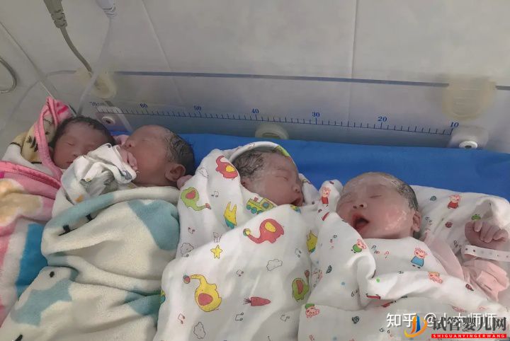 龍鳳胎的出生率為什么越來越高(圖1)