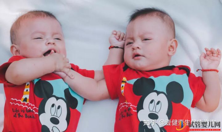 試管想要雙胞胎,成功率和風險有多大(圖3)