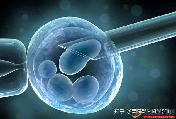 試管想要雙胞胎,成功率和風險有多大(圖5)