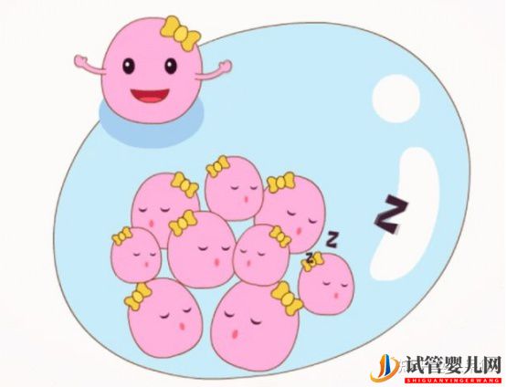 試管嬰兒成功率是怎么計算的(圖3) 試管嬰兒成功率是怎么計算的(圖3)