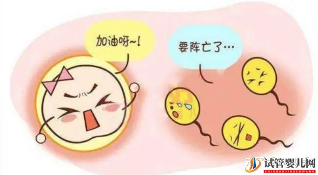 無精子癥就沒辦法要自己的寶寶了嗎(圖2) 無精子癥就沒辦法要自己的寶寶了嗎(圖2)