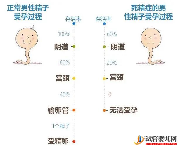 無精子癥就沒辦法要自己的寶寶了嗎(圖4) 無精子癥就沒辦法要自己的寶寶了嗎(圖4)