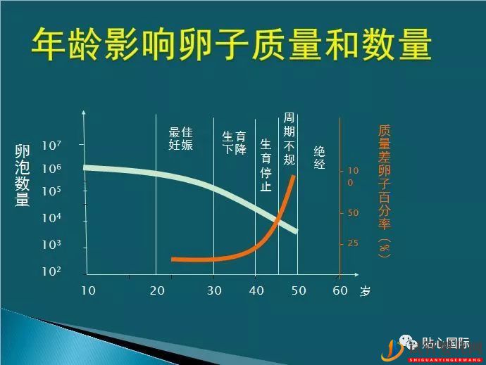 年齡是影響試管嬰兒受孕率主要因素嗎?(圖1) 年齡是影響試管嬰兒受孕率主要因素嗎?(圖1)