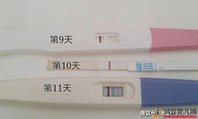 試管幾天能測出來懷孕？試管嬰兒移植后幾天能測出來？(圖1)