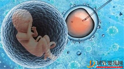 試管嬰兒和一般的嬰兒，實質性的差別只有一個(圖1)