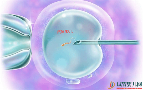 試管嬰兒和自然懷孕的寶寶會(huì)有區(qū)別么(圖1)