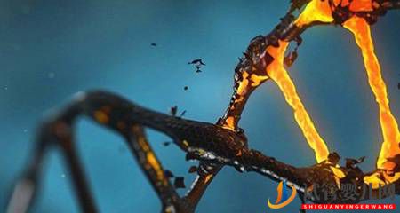 研究發(fā)現(xiàn)：基因突變可以促進(jìn)肝損傷后的再生(圖2)