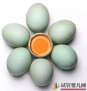 美國IVF無痛取卵的過程(圖1)