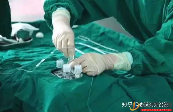 美國IVF無痛取卵的過程(圖3)