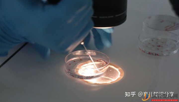 去泰國做試管需要條件要準生證嗎(圖1) 去泰國做試管需要條件要準生證嗎(圖1)