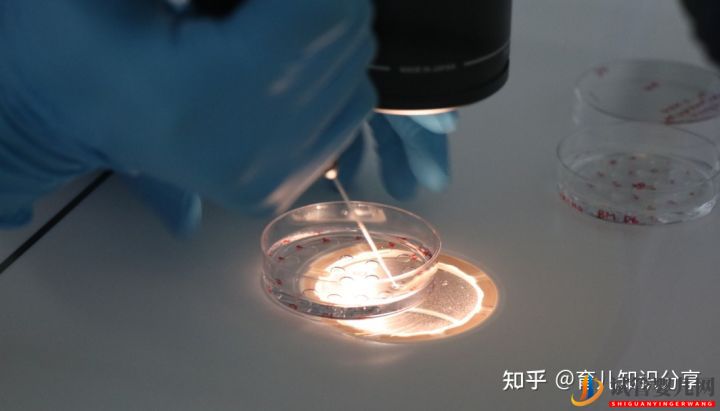去泰國做試管需要條件要準生證嗎(圖2) 去泰國做試管需要條件要準生證嗎(圖2)