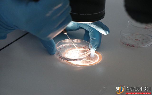 去泰國做試管需要準(zhǔn)備好哪些證件(圖1)