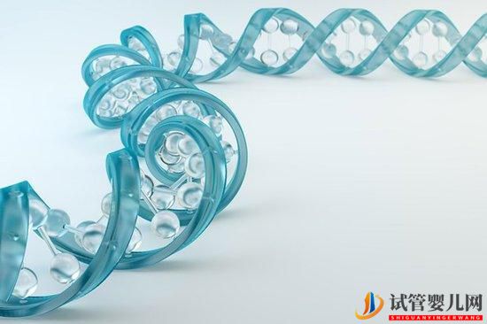 試管嬰兒檢查性激素六項要多少錢？(圖1)