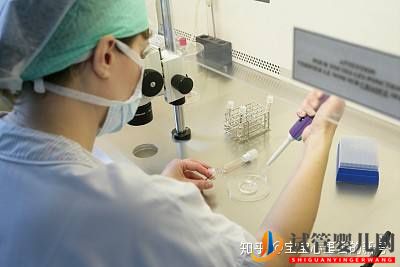泰國第三代試管嬰兒費用如何降低成功率如何提高(圖1) 泰國第三代試管嬰兒費用如何降低成功率如何提高(圖1)