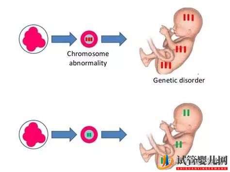 關于美國試管嬰兒技術的問題一網打盡(圖2)
