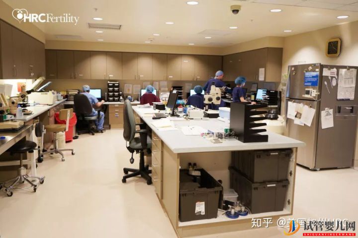 要去美國(guó)看病別怕!小C帶您全面了解美國(guó)試管嬰兒(圖6)