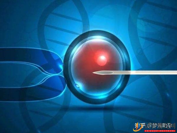 赴美試管嬰兒要經歷哪些流程呢(圖9)