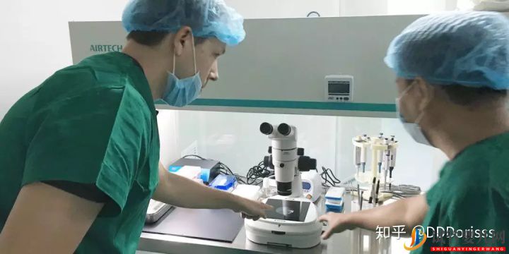 泰國試管嬰兒VS國內試管嬰兒大比拼(圖11) 泰國試管嬰兒VS國內試管嬰兒大比拼(圖11)