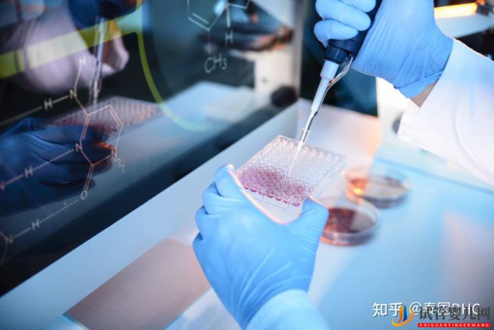 泰國試管嬰兒單身女性合法嗎(圖5) 泰國試管嬰兒單身女性合法嗎(圖5)