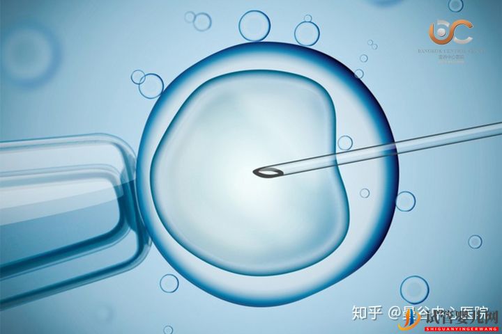 泰國試管嬰兒體外受精術步驟解讀(圖2) 泰國試管嬰兒體外受精術步驟解讀(圖2)