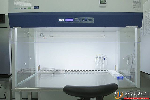 泰國試管嬰兒移植正規嗎(圖5) 泰國試管嬰兒移植正規嗎(圖5)