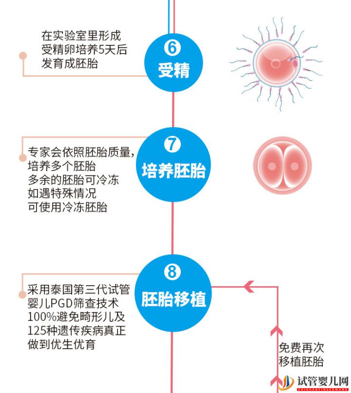 泰國(guó)試管嬰兒優(yōu)勢(shì)性價(jià)比再高,成功率卻離不開(kāi)這(圖5)
