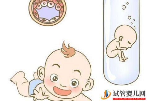 泰國試管嬰兒中雌激素低情況?(圖1) 泰國試管嬰兒中雌激素低情況?(圖1)