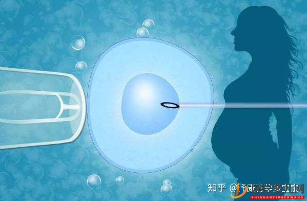 高齡去泰國做試管嬰兒真實經歷成功消息振奮人心(圖4) 高齡去泰國做試管嬰兒真實經歷成功消息振奮人心(圖4)