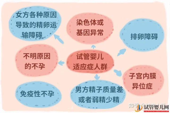 三代試管對女性身體有很大傷害嗎(圖1)