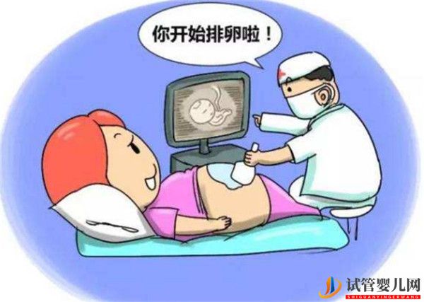 高齡女性通過試管嬰兒助孕監(jiān)測(cè)促排卵有哪些意義(圖1)
