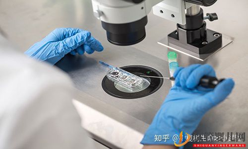 國內(nèi)外第三代試管嬰兒的區(qū)別(圖1)