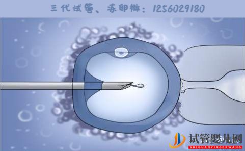 三代試管嬰兒在泰國是合法的嗎(圖1) 三代試管嬰兒在泰國是合法的嗎(圖1)