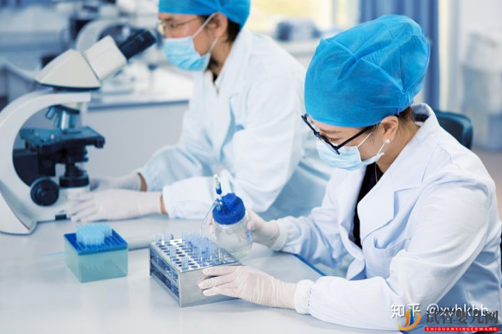 泰國供卵像混血寶寶,第三代試管嬰兒真的健康嗎(圖3)